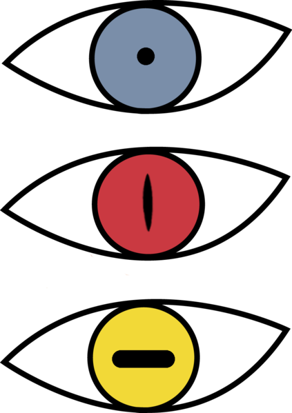 La Respuesta Es No, Los Ojos De Naruto Cambian Como - Ojos De Naruto Para Dibujar (423x599)