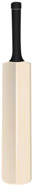 Cricket Bat Clipart - Kwik Cricket (500x500)
