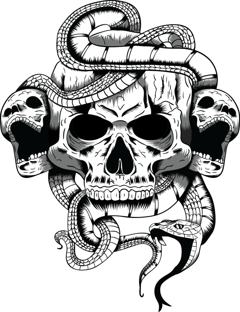 Skull Illustration By Arrtman - Skull Art Transparent (784x1020)