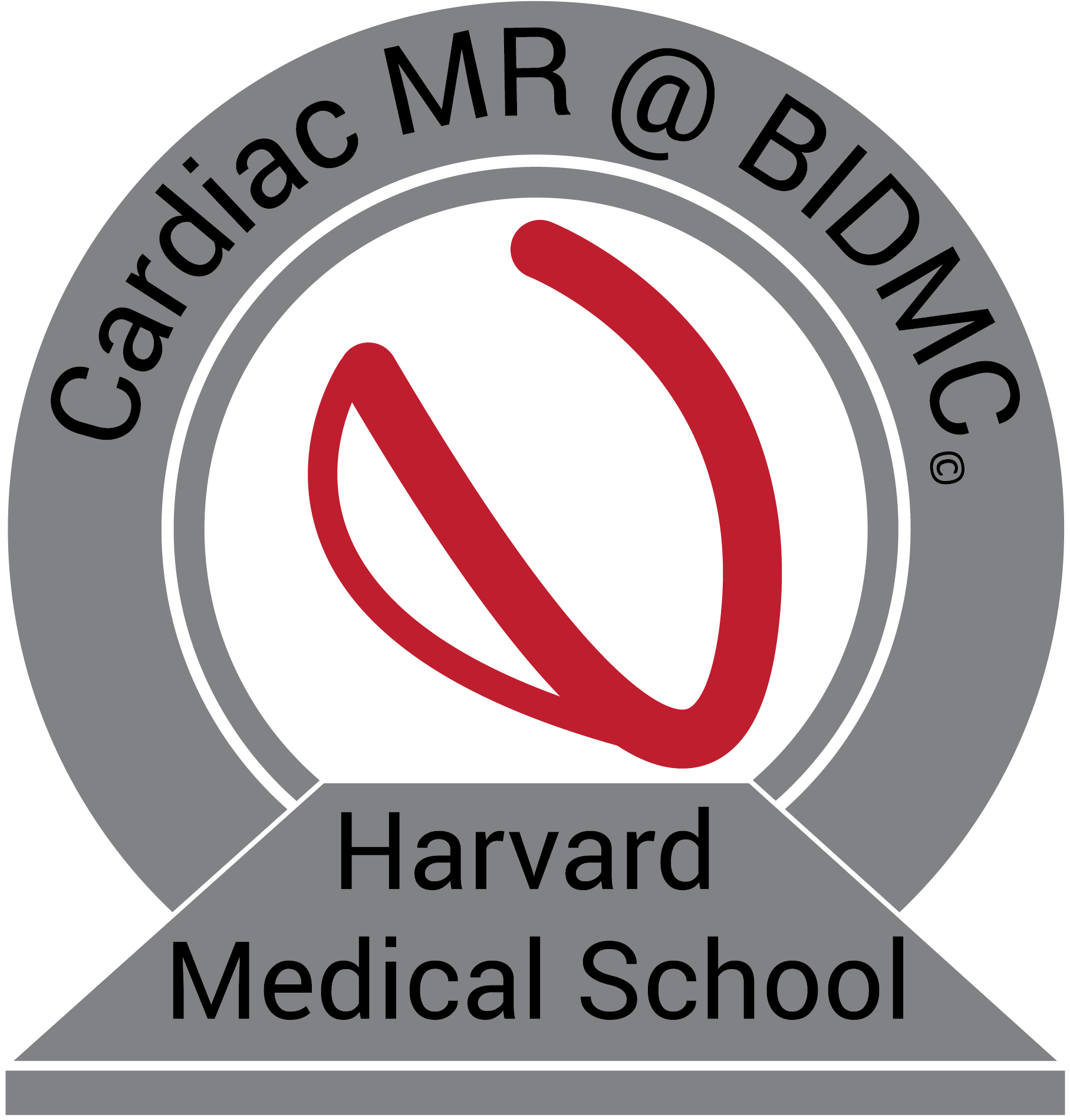 Color Identity Guidelines Harvard Business School - Circle (1950x1988)