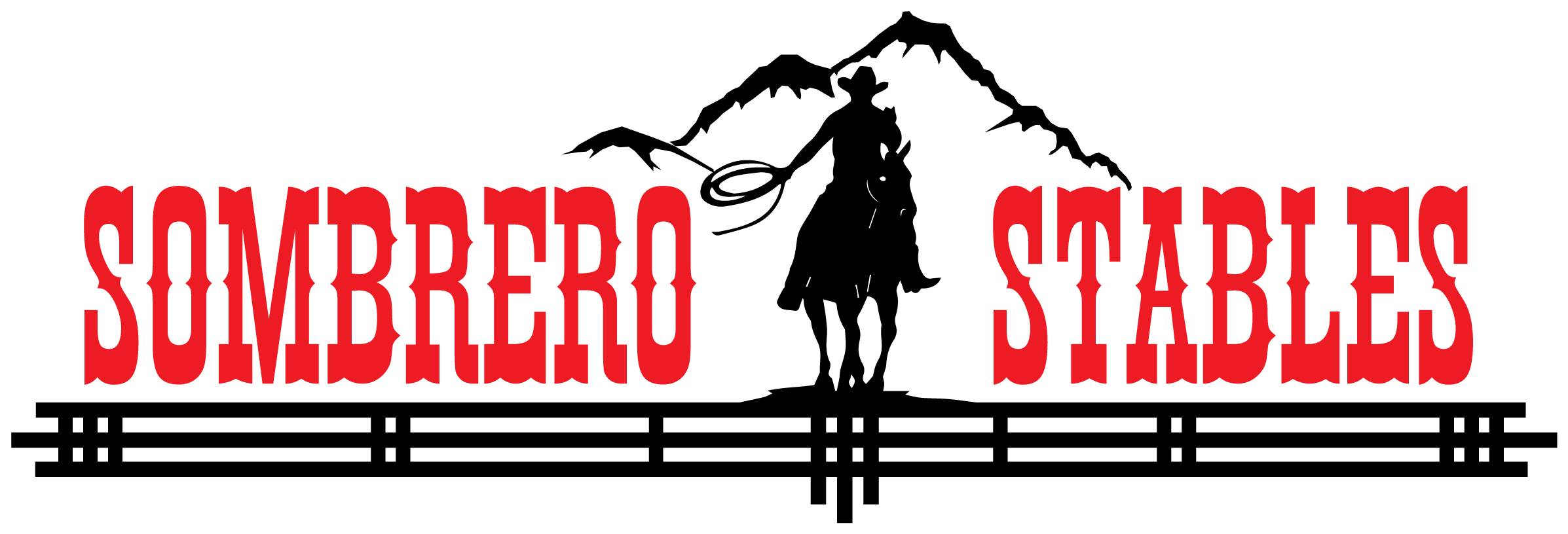 Lone Star Politics 2nd Edition + Electronic Edition (2409x858)