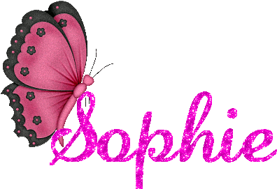 If You Fancy Your Hand At Writing Too You Can Enter - Sophie The Name (416x306)