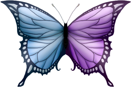Two Colored Butterfly By Lilafly - Art (600x300)