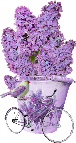 Flower Power - Lilacs And Home-grown Tomatoes By Mina Kirby 9781539351542 (299x500)