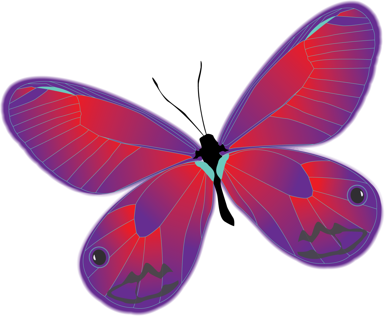 Brush Footed Butterflies Gossamer Winged Butterflies - Lycaenid (1250x1028)