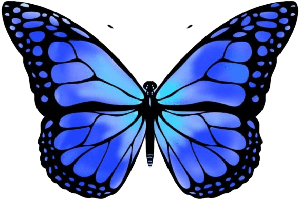 I First Play With Particle Manager, And It Brings Some - Purple Blue Monarch Butterfly (600x428)