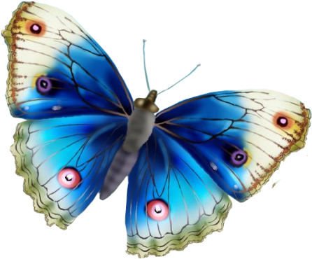 Mariposas Libélulas - Poze Cu Sclipici Miscatoare (470x373)