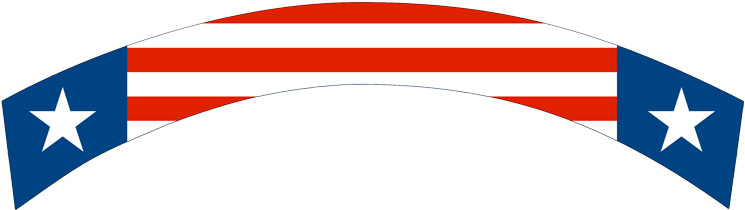 95 - Flag (750x223)