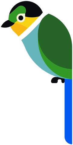 Turquoise Parrot Illustration Transparent Png - Desenho De Arara Png (512x512)