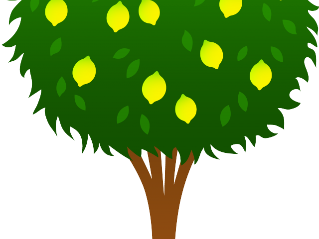 Lemon Tree Clipart - Lemon Tree Clipart (640x480)
