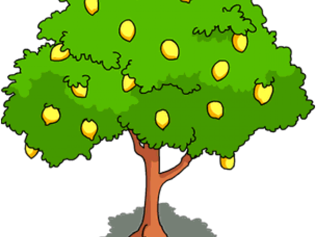 Lemon Tree Clipart - Clip Art Of Mango Tree (640x480)