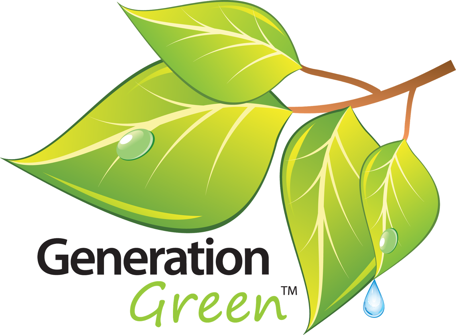 Living Dream Into Reality - Green Energy Power Solutions (1600x1177)