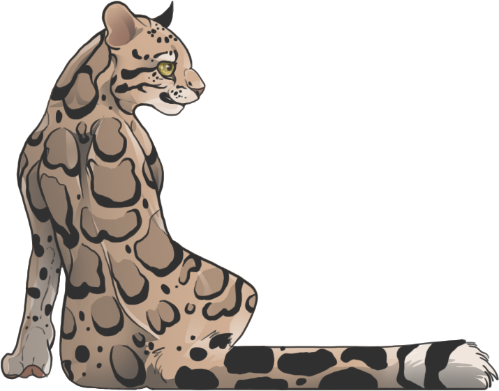 Leopard Seal Clipart Deviantart - Clouded Leopard Drawing (768x592)