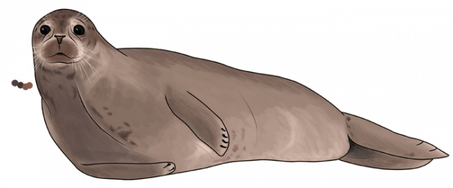 Download Free Printable "harbor Seal Clipart Png" Template - Download Free Printable "harbor Seal Clipart Png" Template (650x271)