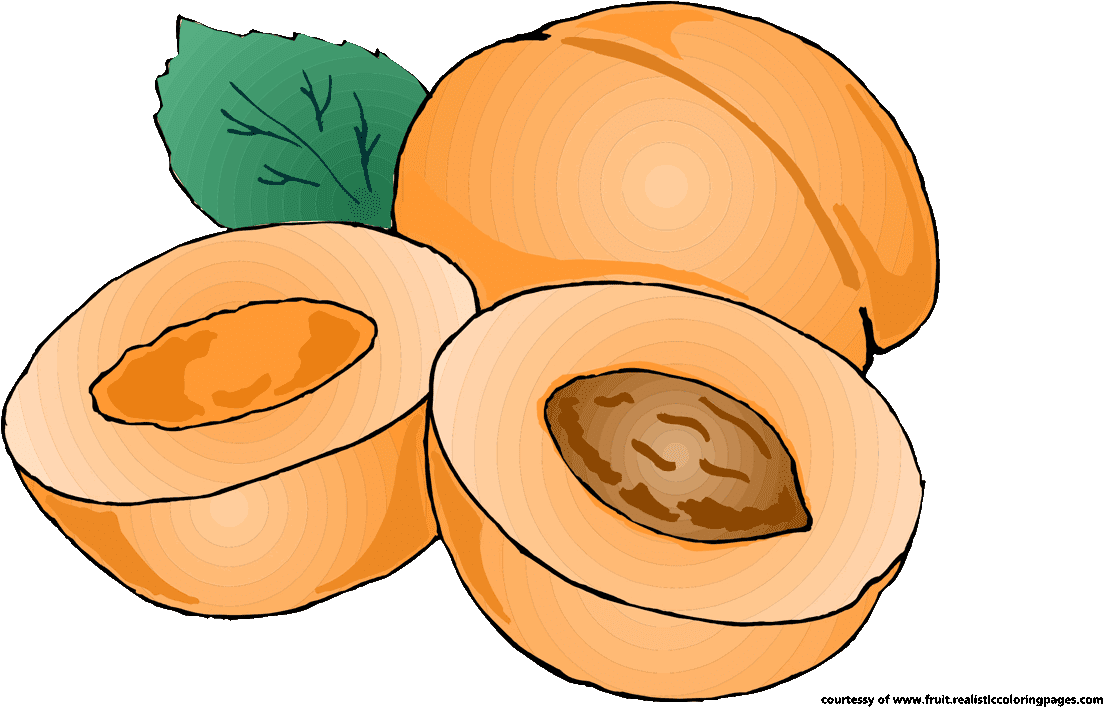 Pumpkin Apricot Fruit Clip Art - Apricot Png Clipart (1280x720)