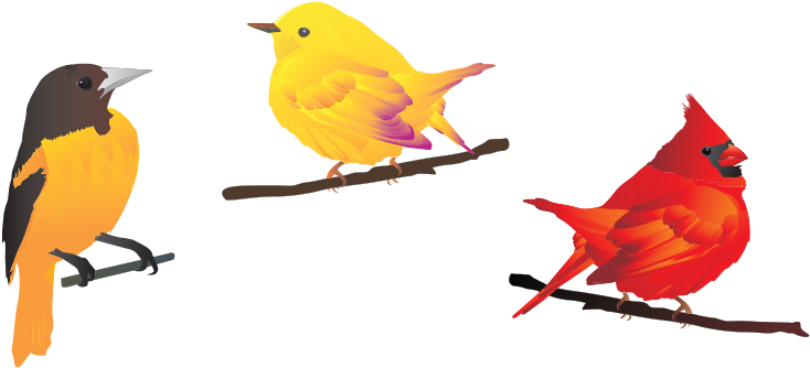 Birds Vector Illustrations Free Download Png Graphic - Free Bird Vectors Png (1200x628)