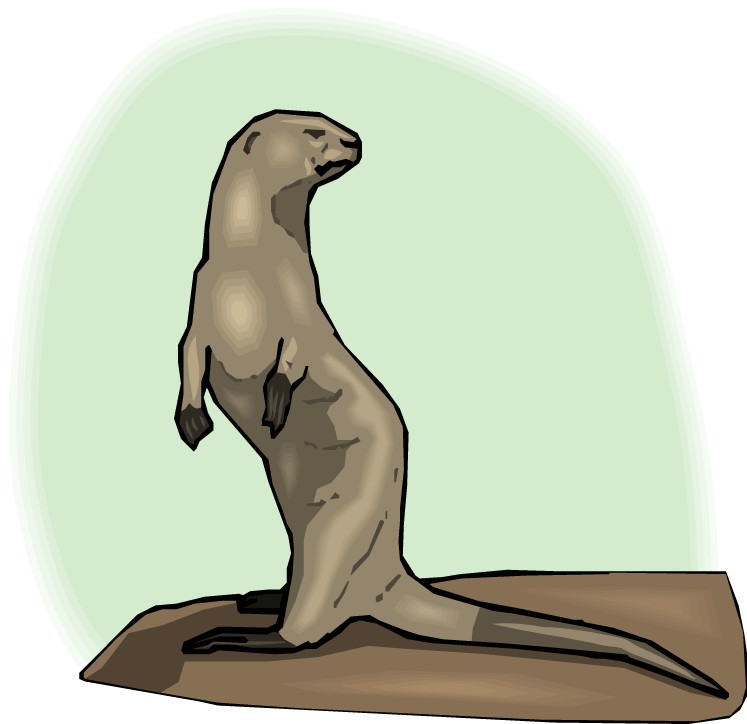 Free Otter Clipart - Standing Otter Cartoon (750x732)