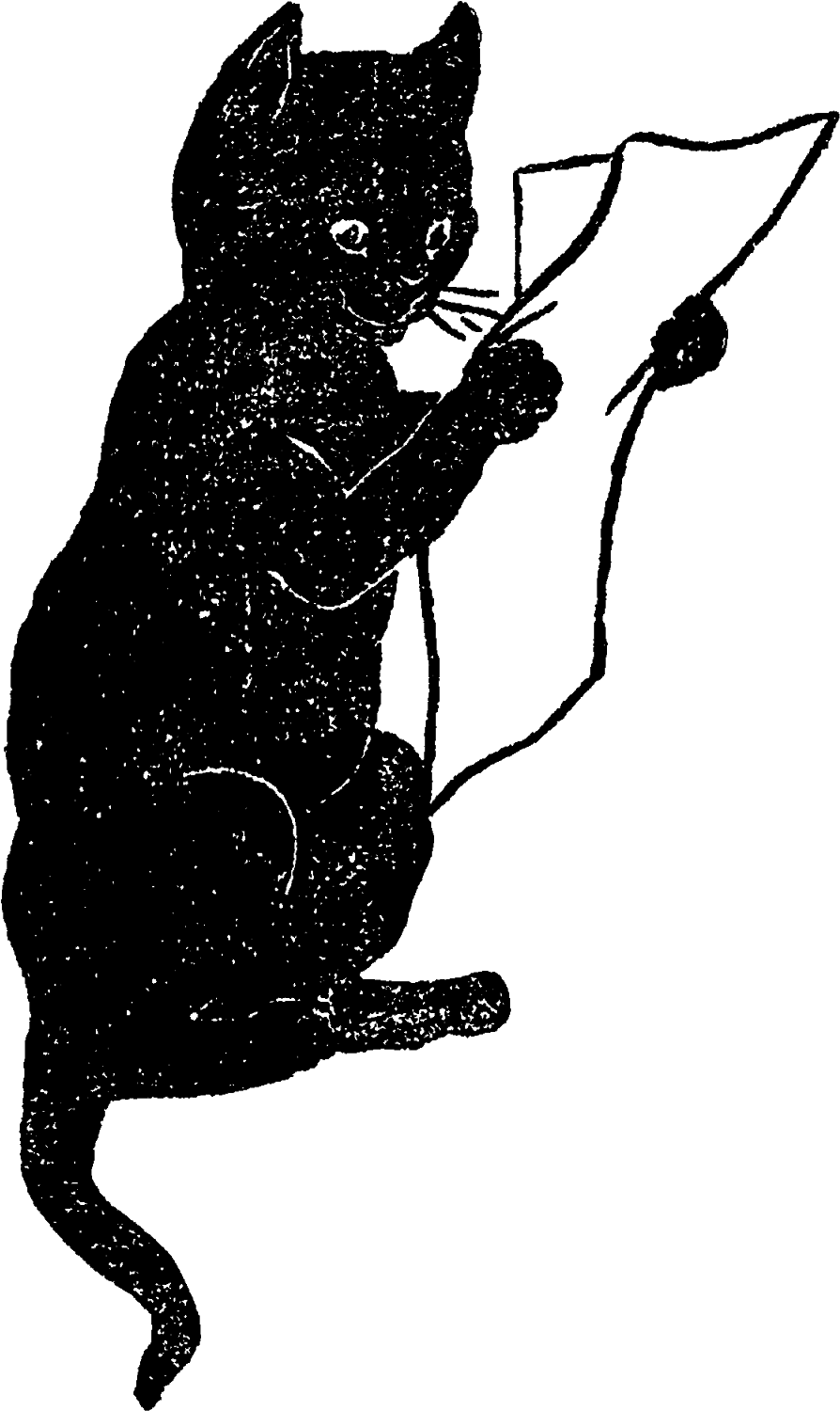 Black Cat Antique Illustration Funny Animal Clipart - Cat Clip Art (1020x1600)