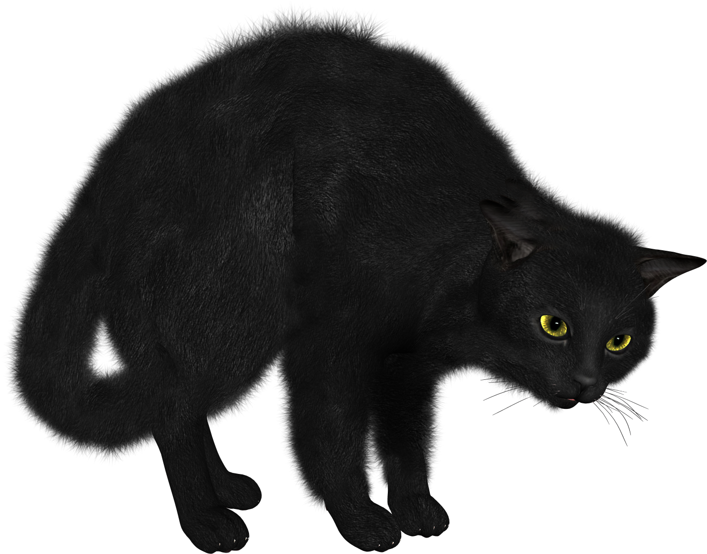 Cats Png Free Images, Download - Facts About Black Cats (1490x1520)