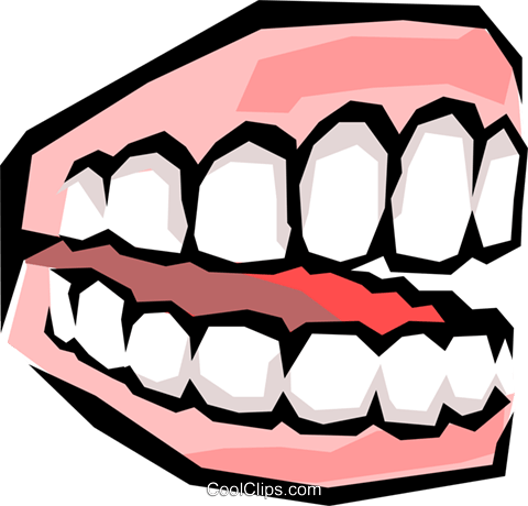 Teeth Clipart Transparent - Set Of Teeth Clipart (480x460)