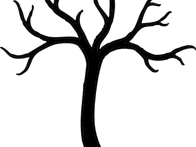 Bare Tree Template - Tree Without Leaves Clipart (640x480)