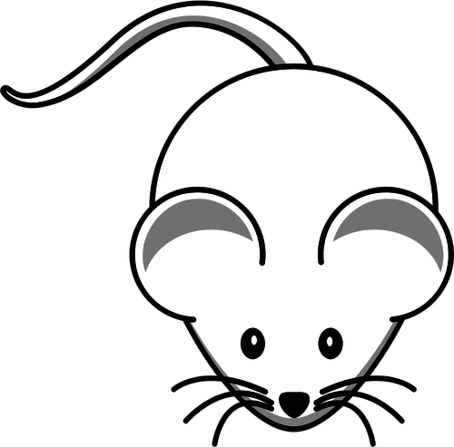Vector Clip Art Of Cartoon White Mouse With Long Mustache - Cartoon Mouse (500x493)