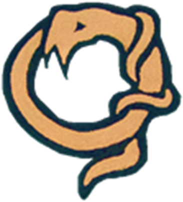 Green Ninjago Symbol - Symbol Ninjago (420x420)