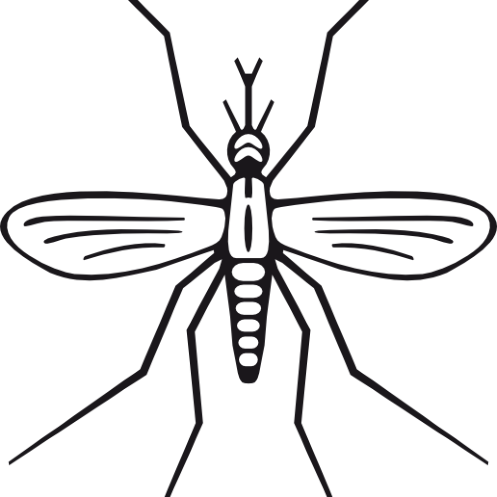 Mosquito Clipart Clip Art At Clker Vector Online Royalty - Mosquito Clip Art (1024x1024)