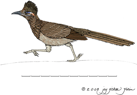 Top 89 Roadrunner Clip Art - New Mexico State Flower & Bird (450x350)