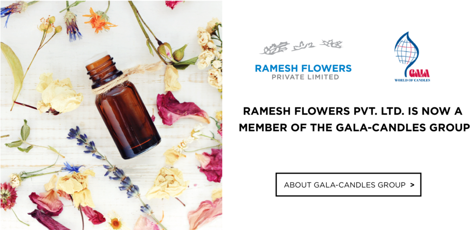 Essential Oils (1000x469)