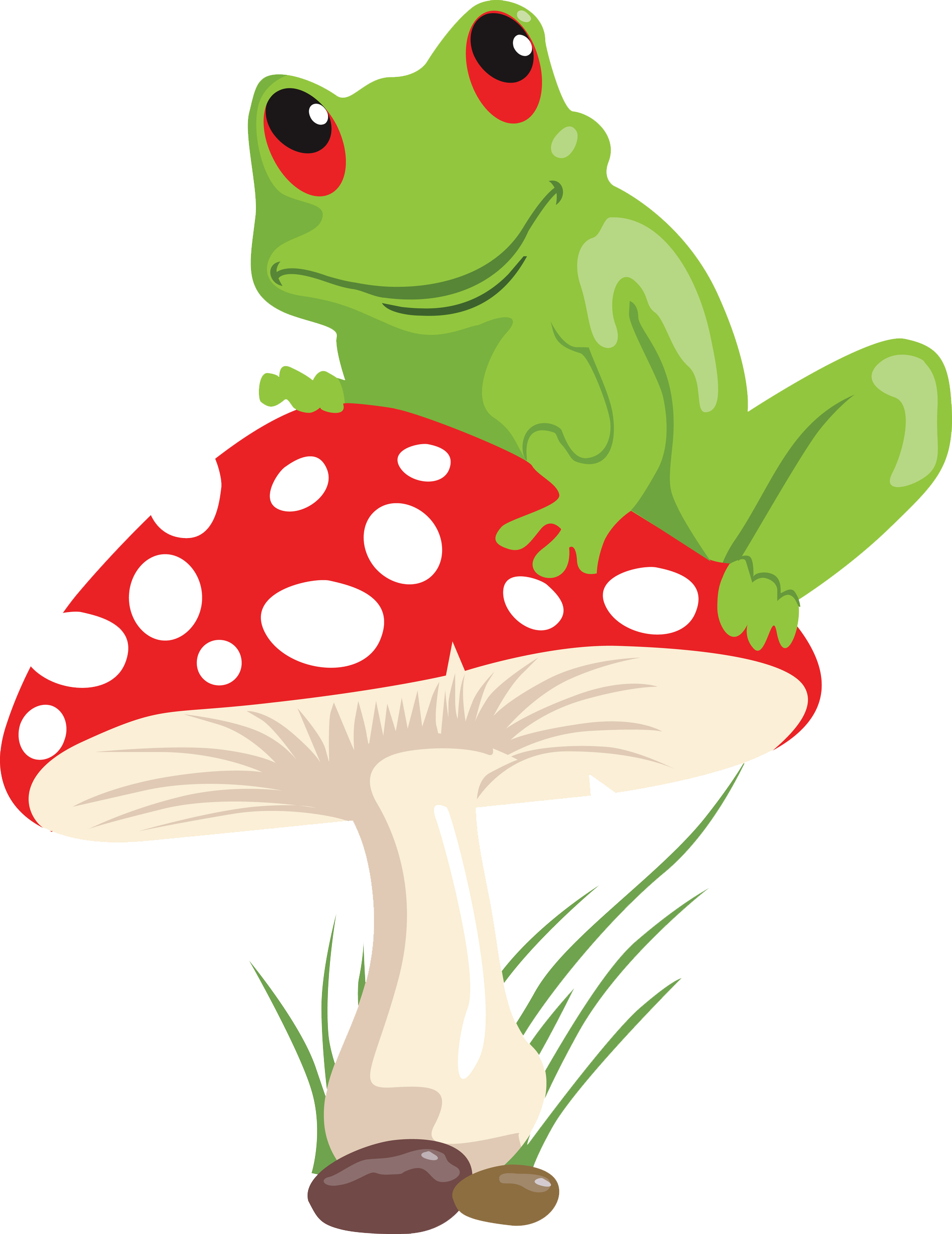 Frog Mushroom Lithobates Clamitans Illustration - Frog And Mushroom Drawing (1919x2486)