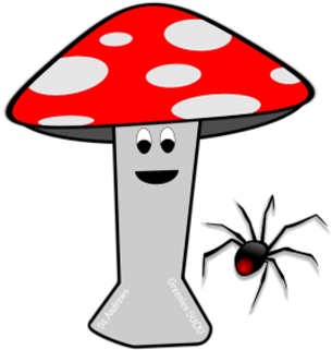Spotty Mushroom - Black Widow Spider (400x400)
