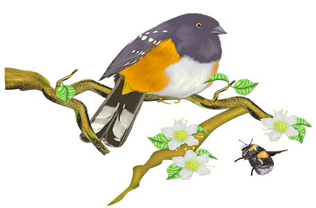 Bird, Sparrow, Sitting, Sperling - World Sparrow Day Png (482x340)