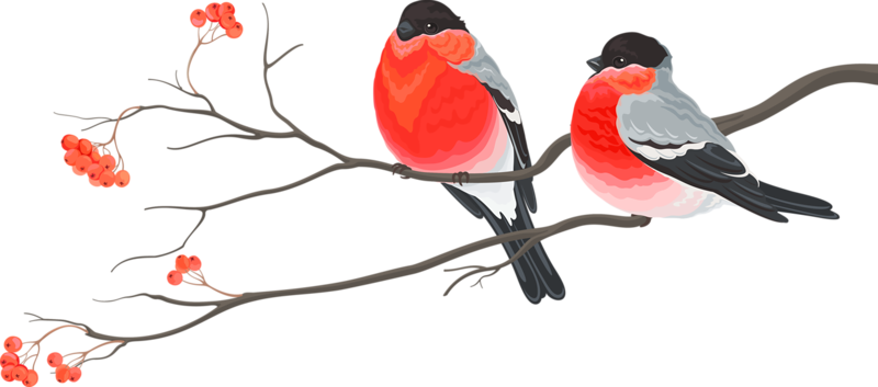 Bird Wedding Invitation Christmas Card Christmas Decoration - Wedding Birds Png (800x353)