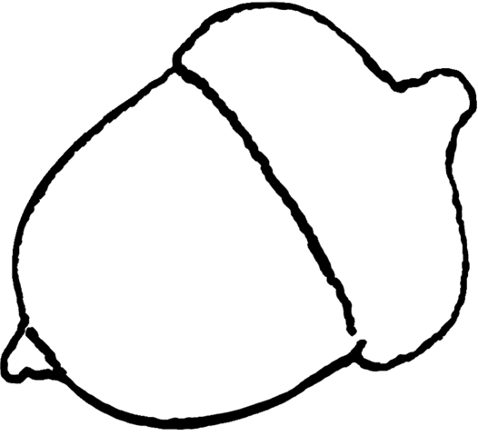 263 × 240 Pixels - Acorn Template Free Printable (526x480)