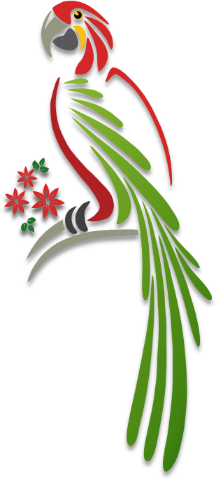 Parrot - Illustrations - Painting (315x690)