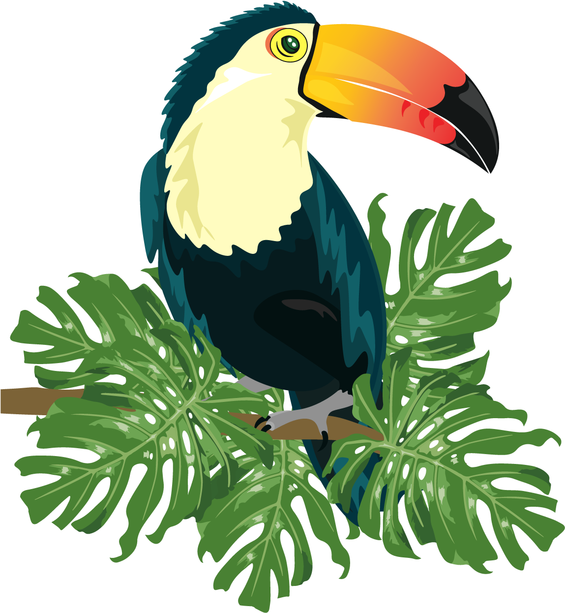 Ramphastinae Bird Ramphastos Illustration - Tropical Bird Vector Png (1500x1500)