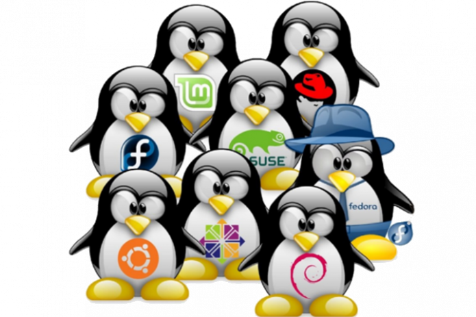100% Disco Linux Ubuntu Aws - Como Se Llama El Pinguino De Linux (695x463)