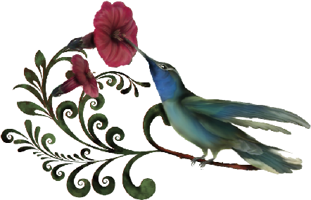 Birds And Butterflies Humdilly Artwork - Work Of Art (519x346)