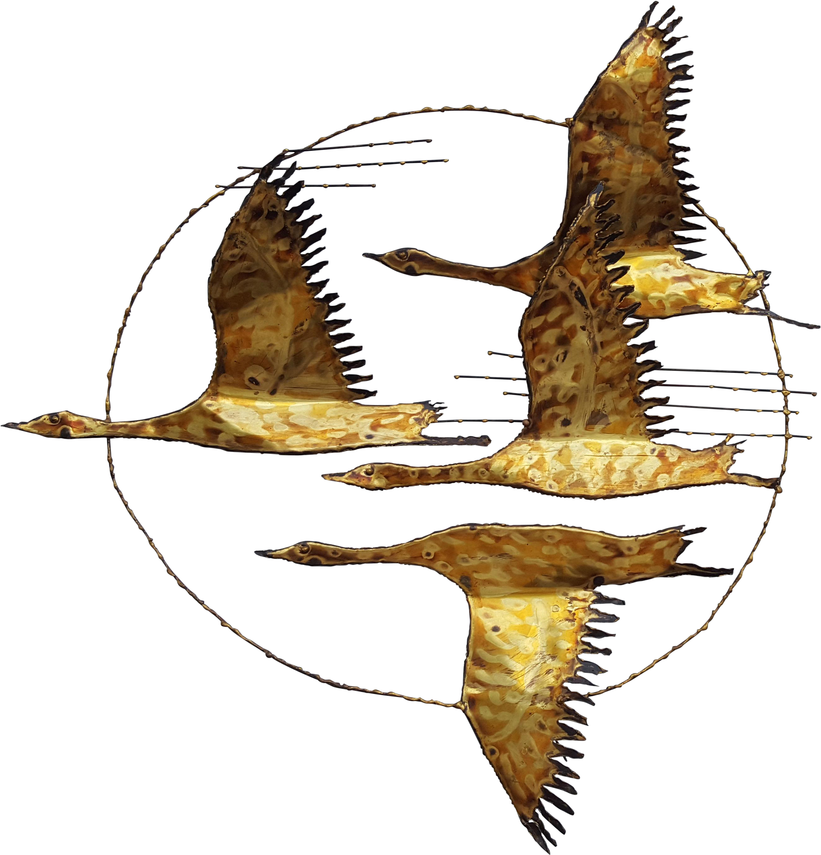 Flying Bird Illustration Vintage - Bufflehead (2931x3053)