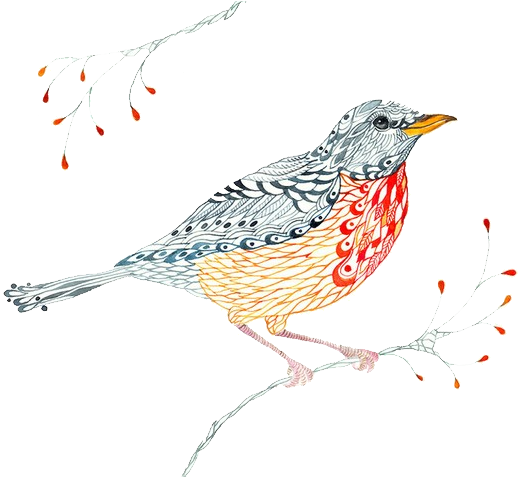 Bird European Robin Visual Arts Watercolor Painting - Illustration (600x476)