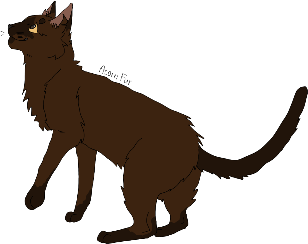 Acorn Fur By Glasskats - Warrior Cats Acorn Fur (1024x856)