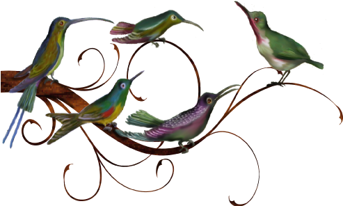 Birds And Butterflies Birdz Family Artwork - Wording Donation Thank You Cards (519x346)