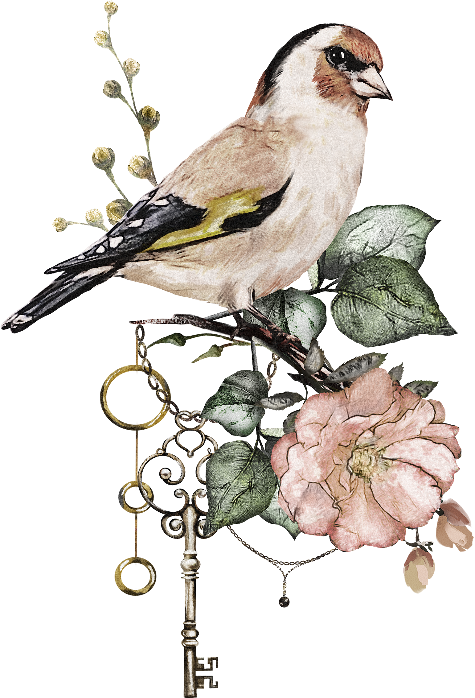 Find This Pin And More On Ptaki - Illustration (1900x2759)