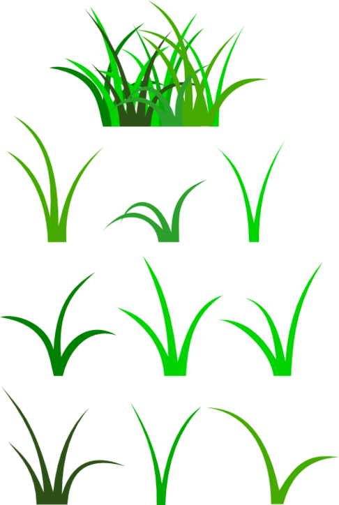 Free Grass Cliparts - Blade Of Grass Clip Art (486x724)