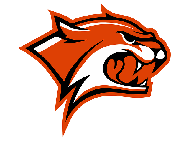 Orange Wildcat Logo Mascot Template Vector - Wild Cats Clip Art (640x640)