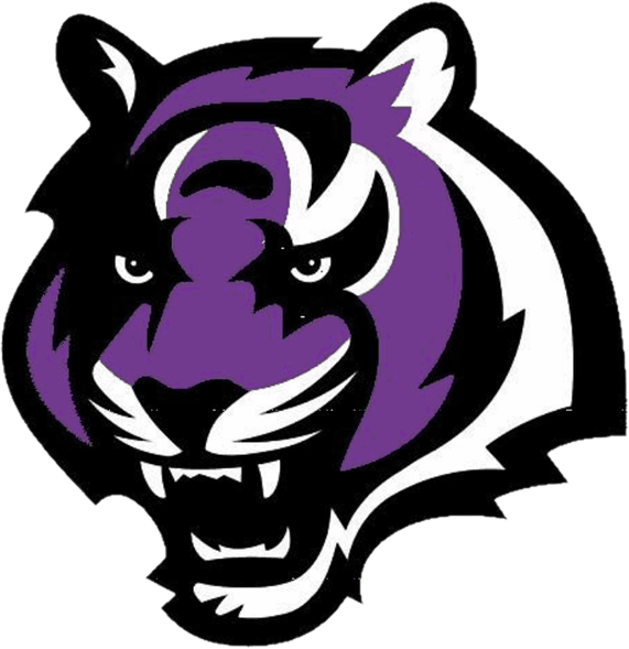 Millennium Tigers - Millennium High School Logo (571x589)