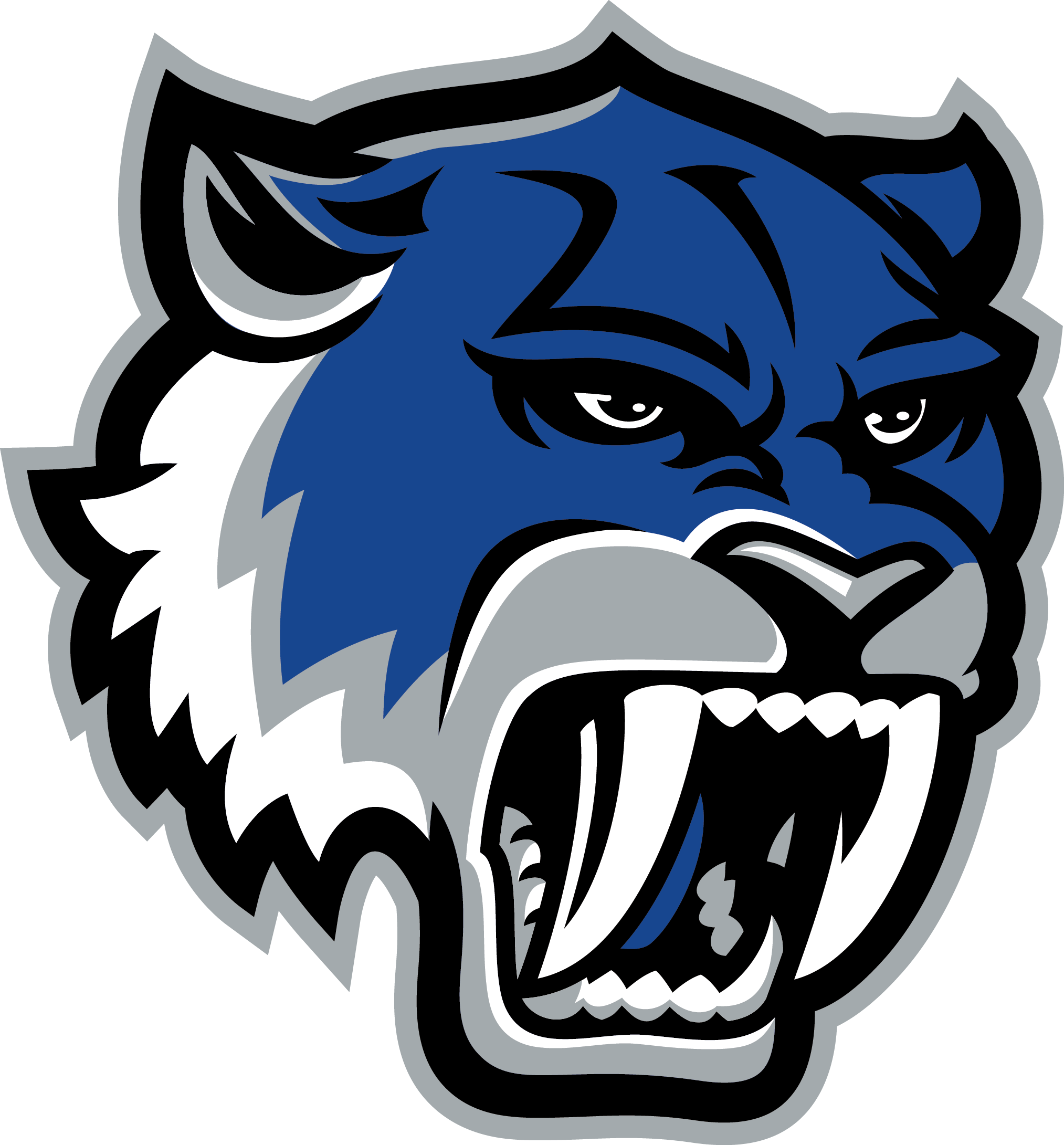Football Rh Ecisd Us Tiger Paw Logo Tiger Logo Design - Robert Vela High School Logo (2027x2181)