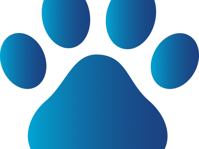 Dog Paw Print Clipart - Huella De Paw Patrol Png (640x480)