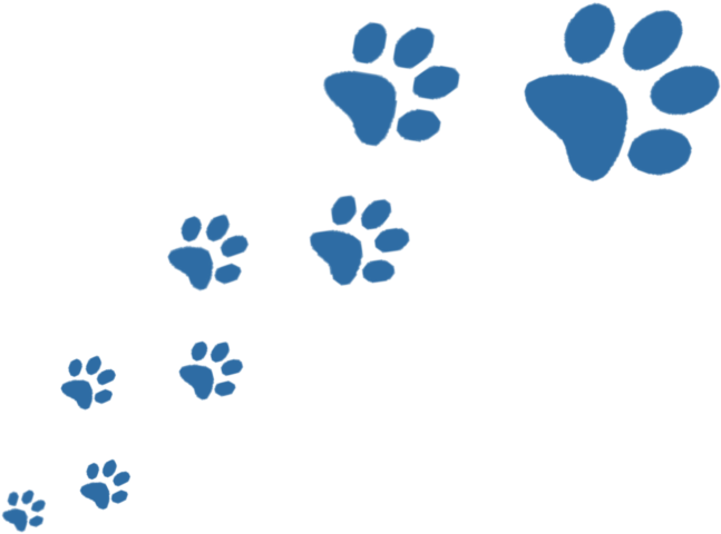 Our - Transparent Background Paw Print Clipart (700x544)
